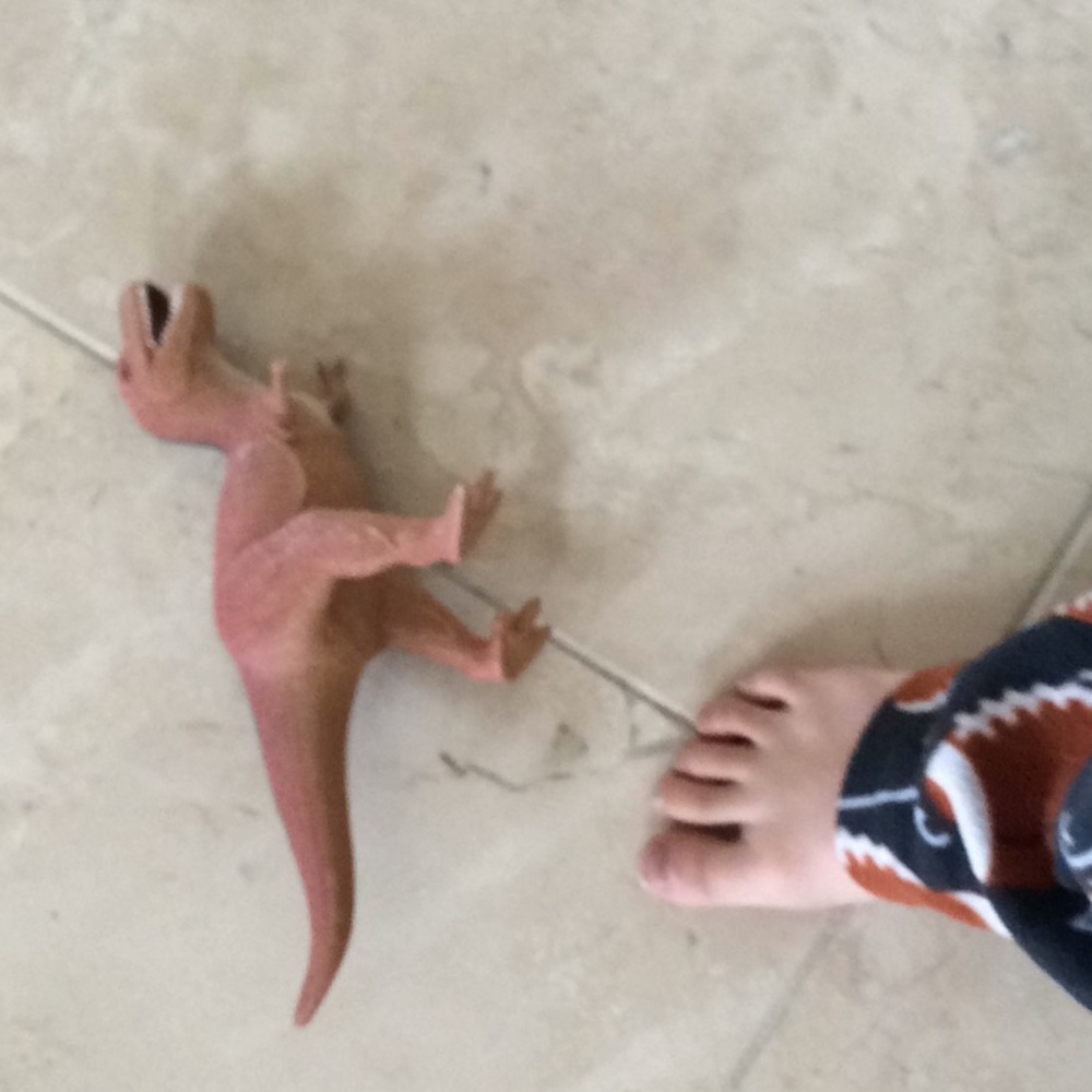 Toy Dino